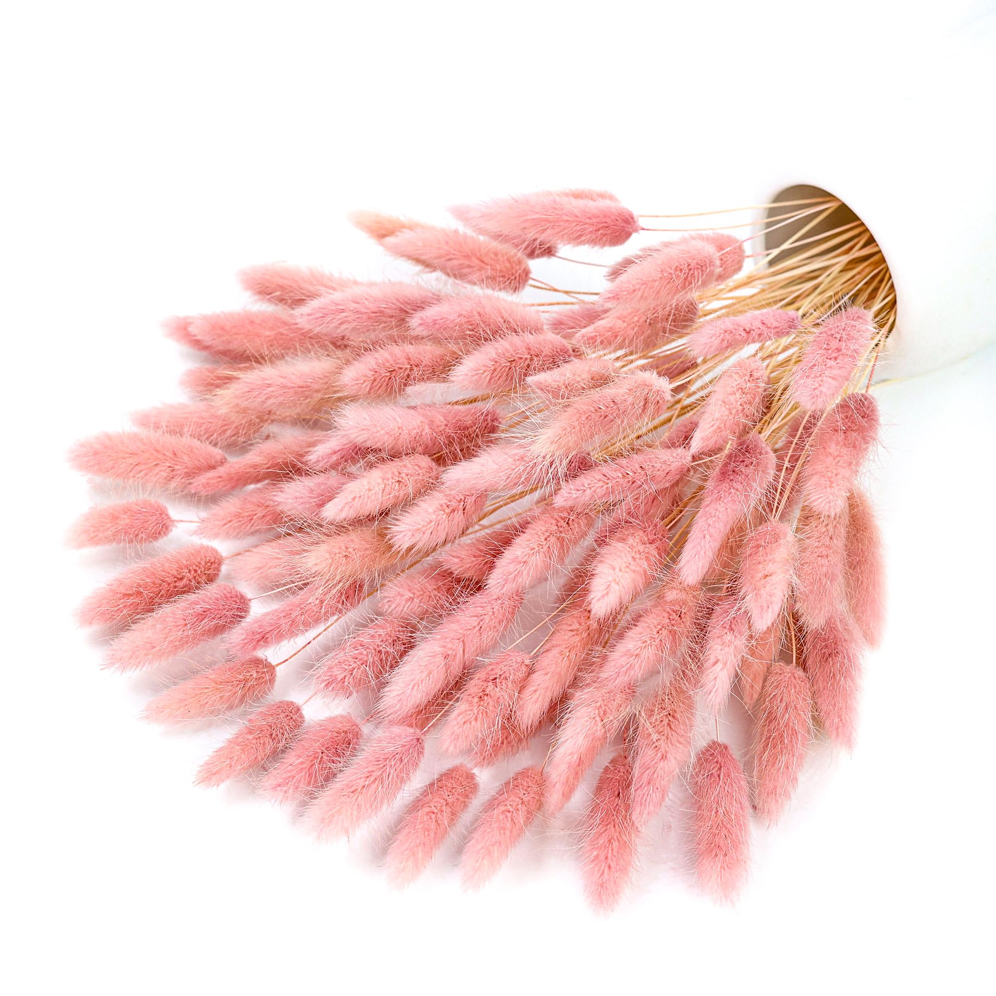 Pampas Grass Decor - Queues de lapin Pampas séchées roses,