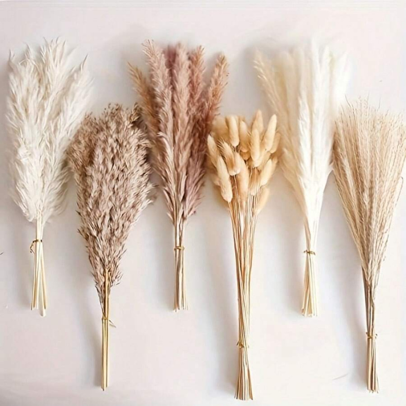 Pampas Grass Decor - Bouquet d'herbe de pampa séchée, 110