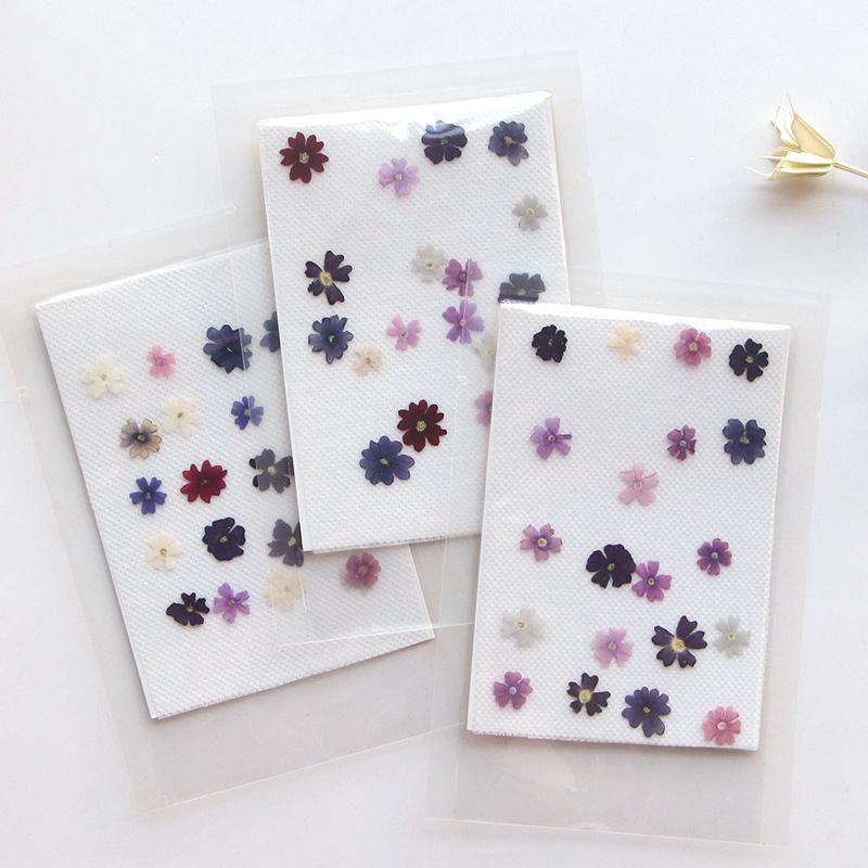 40 pcs/lot, Mini pétales de fl - Pressed Flower Frame avis et prix