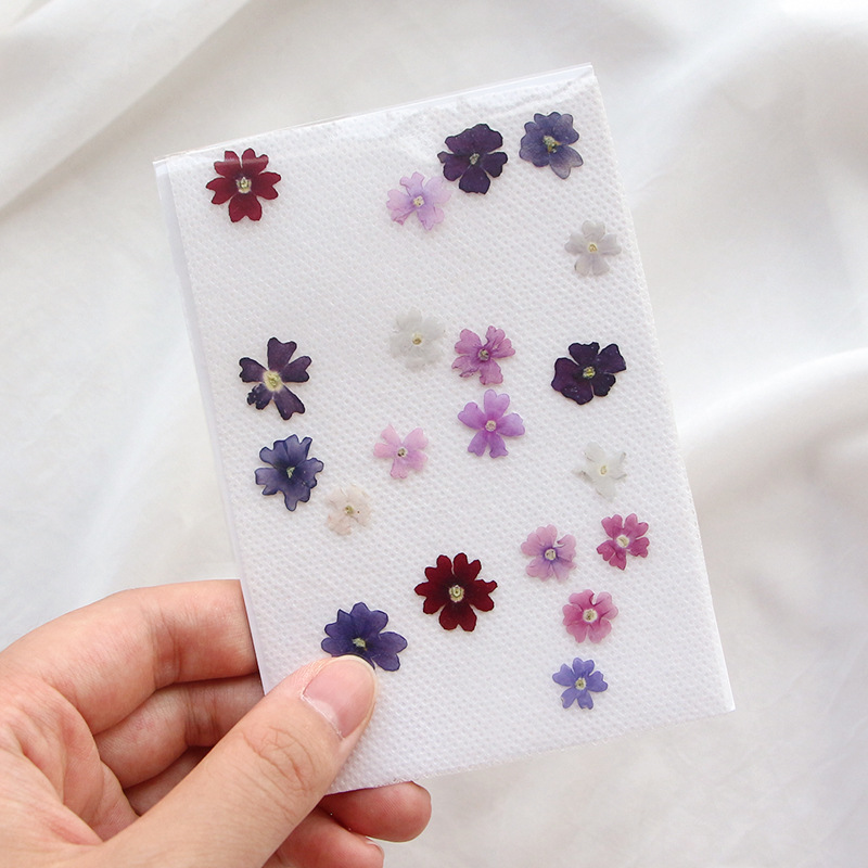 40 pcs/lot, Mini pétales de fl - Pressed Flower Frame avis et prix