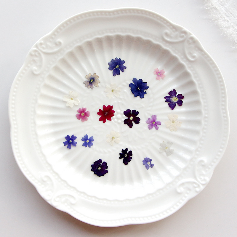 40 pcs/lot, Mini pétales de fl - Pressed Flower Frame avis et prix
