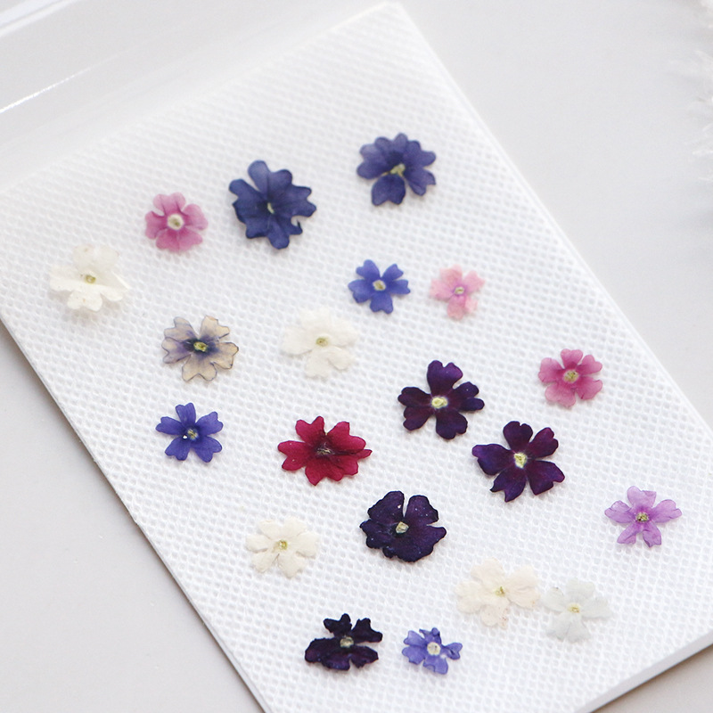 40 pcs/lot, Mini pétales de fl - Pressed Flower Frame avis et prix