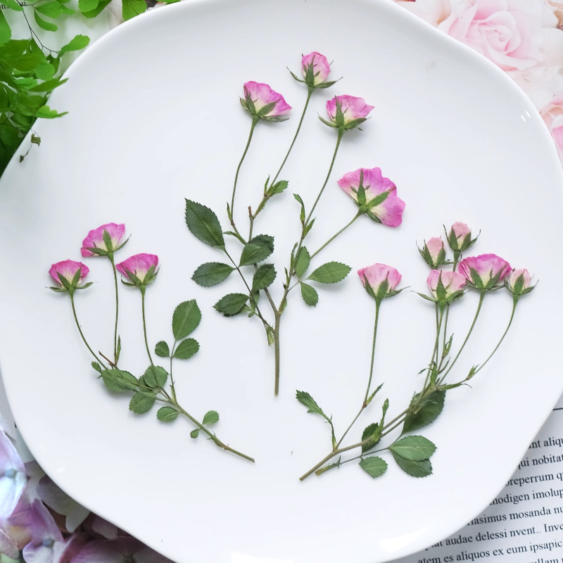 12 pièces, mini roses pressées - Pressed Flower Frame avis et prix