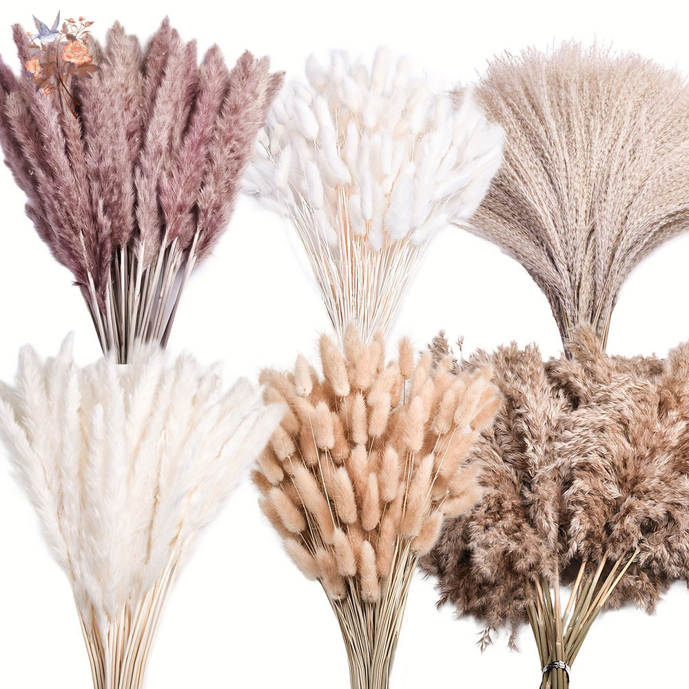 320 pièces de fleurs séchées m - Pampas Grass Decor avis et prix