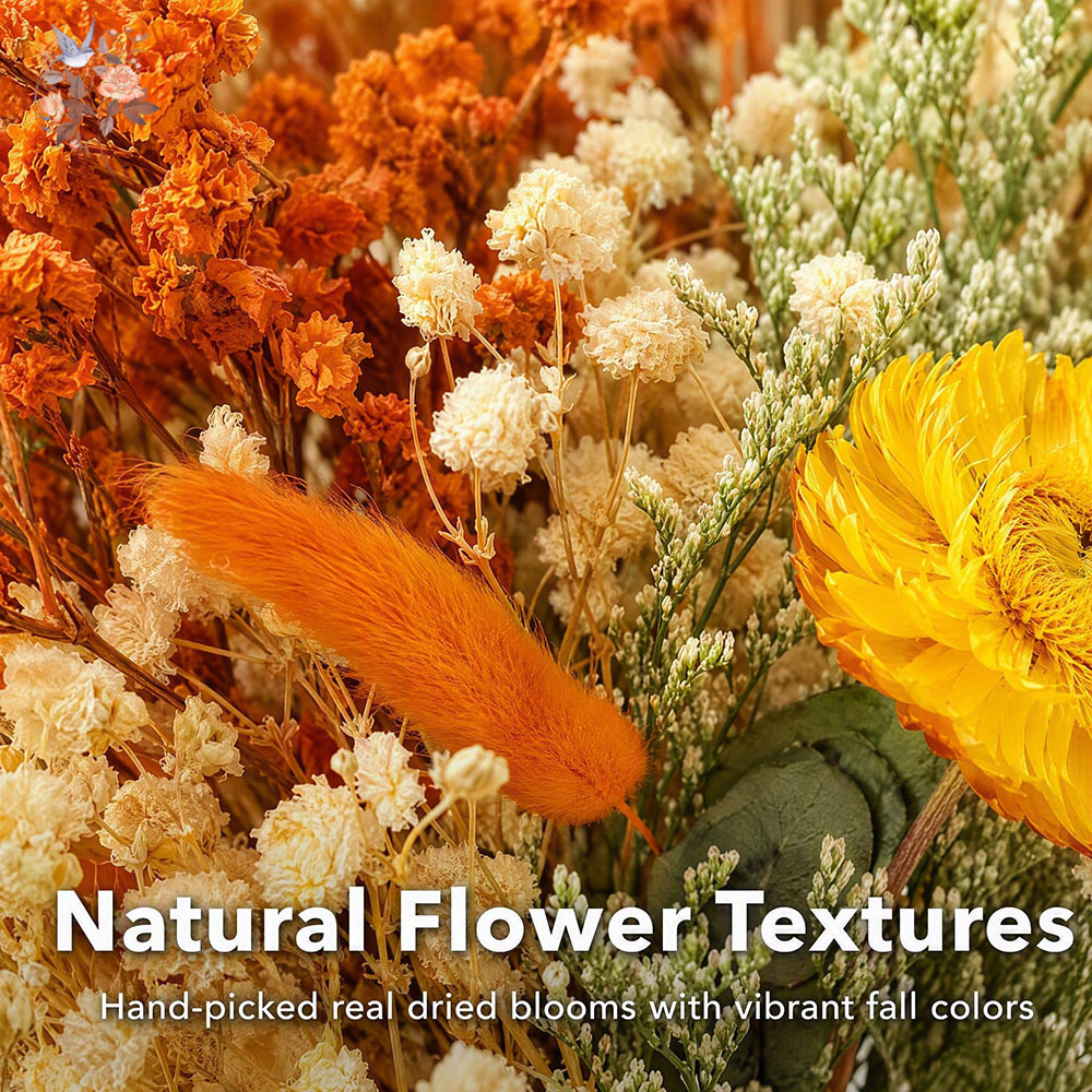 Bouquet de fleurs séchées d'au - Pampas Grass Decor avis et prix
