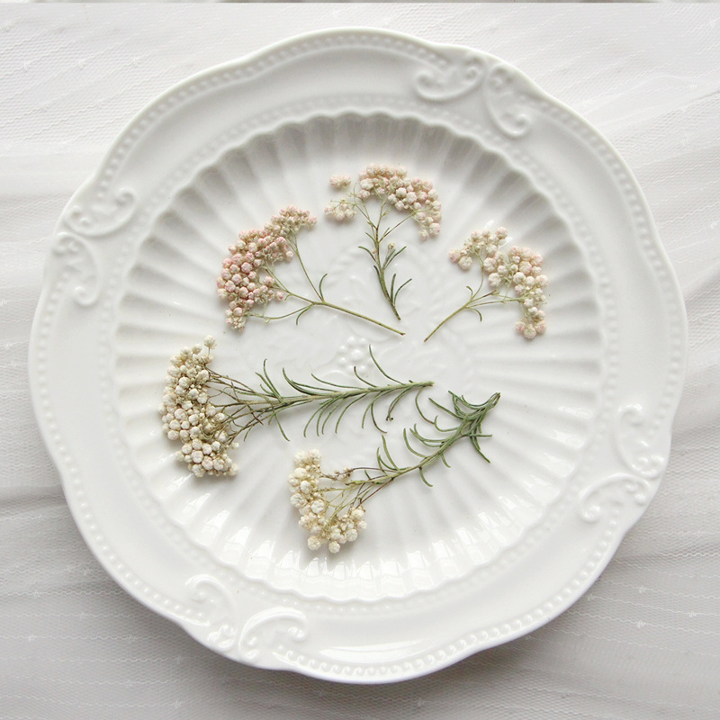 12 pièces, Branches de fleurs  - Pressed Flower Frame avis et prix