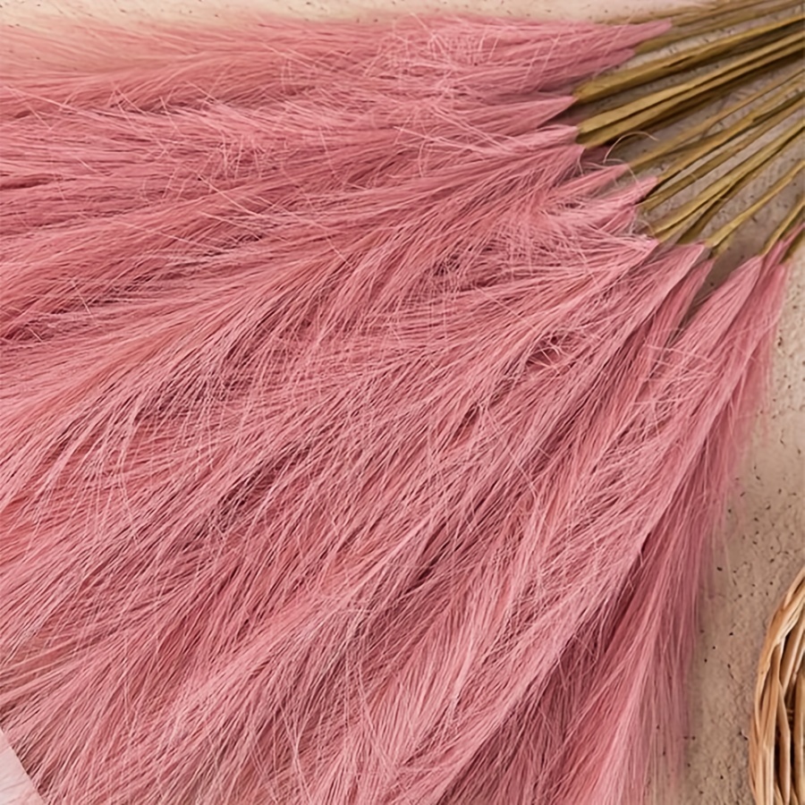 Plume de pampa artificielle co - Pampas Grass Decor avis et prix
