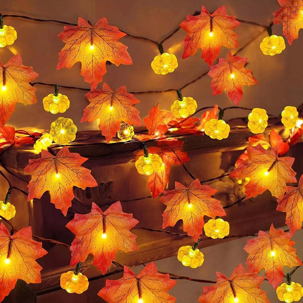 Guirlande lumineuse de 10 LED  - Fairy Lights Bedroom avis et prix